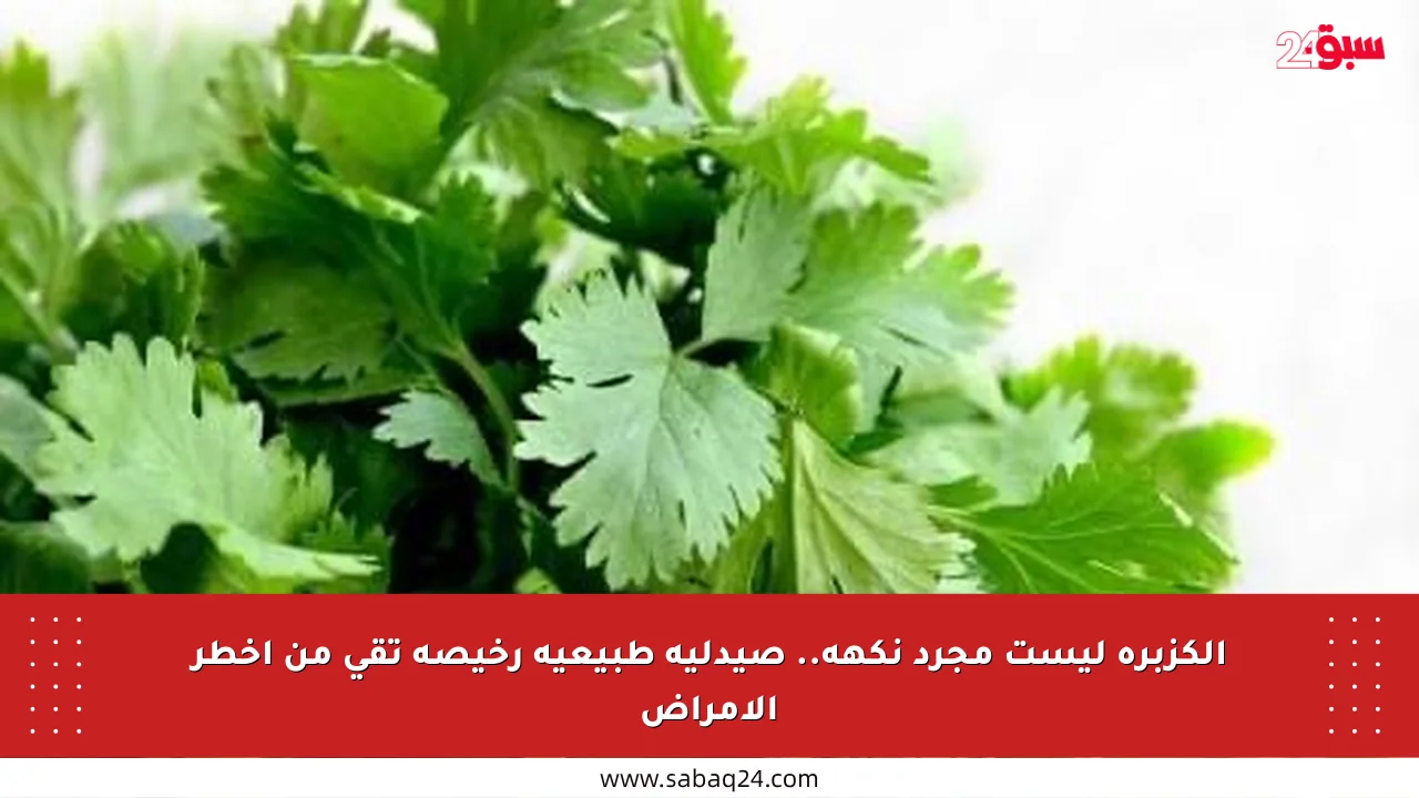 الكزبرة ليست مجرد نكهة.. صيدلية طبيعية رخيصة تقي من أخطر الأمراض